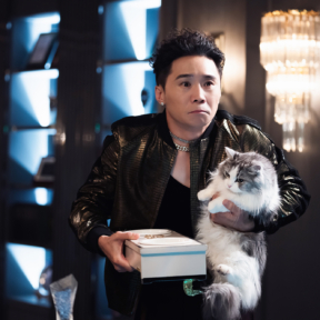 [POST] 고양이 키울 사람?
